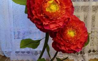 Ростовые цветы пионы из гофрированной